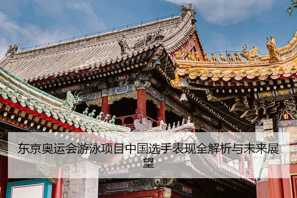 dong-jing-ao-yun-hui-you-yong-xiang-mu-zhong-guo-xuan-shou-biao-xian-quan-jie-xi-yu-wei-lai-zhan-wang-2-273.jpg